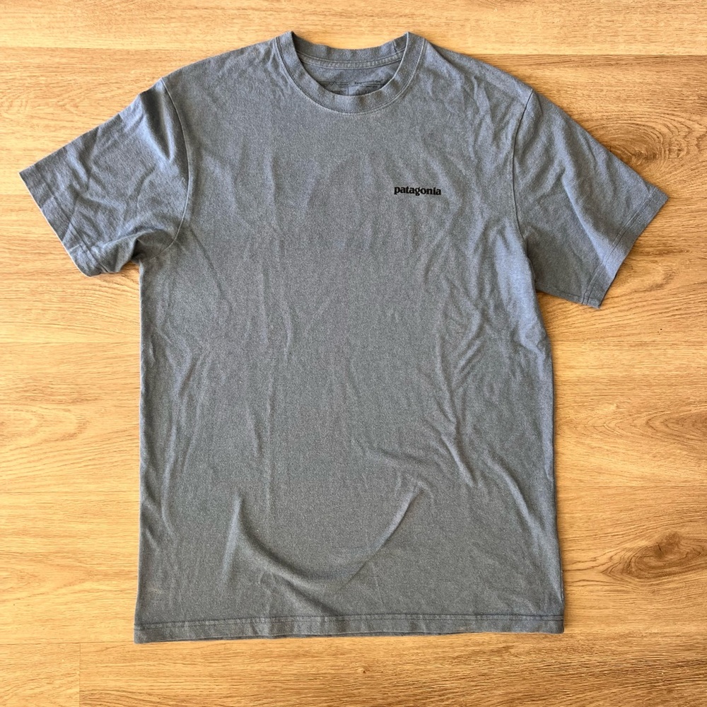 Patagonia Men's Classic Blue Tee